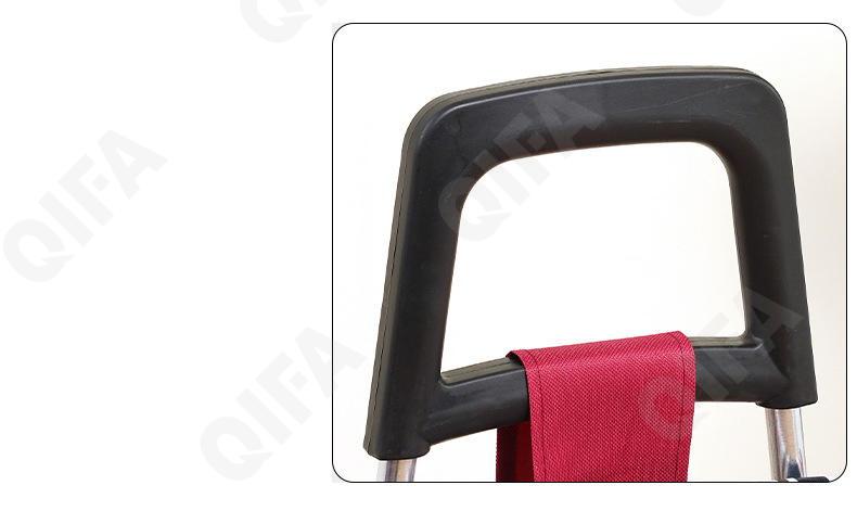 Женская Сумка-тележка CC5013_PTST-1-4