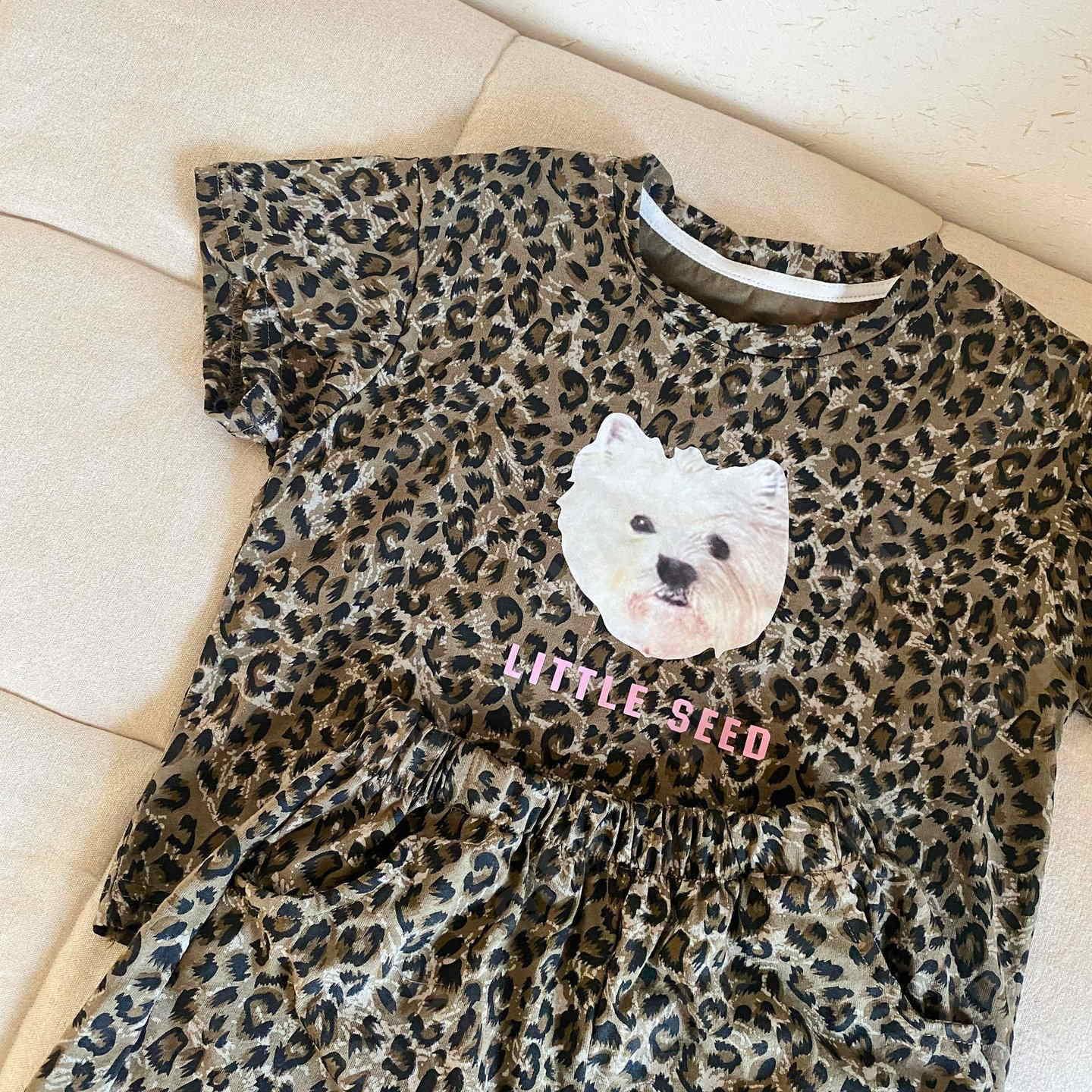 Детский Костюм с шортами CC4286_XZ250502_963_2577_45 Детский Костюм с шортами CC4286_XZ250502_963_2577_45