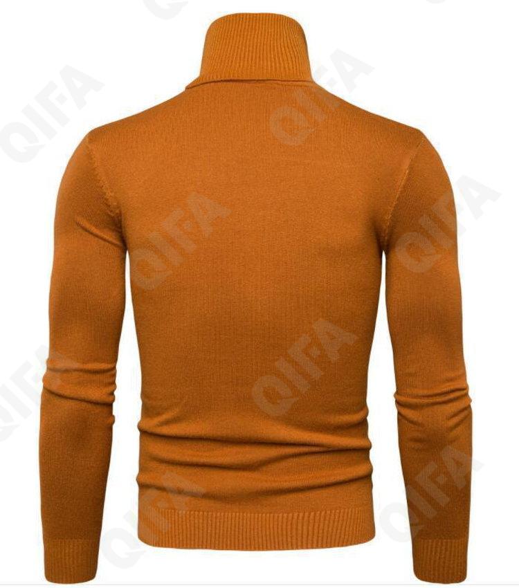 Мужская Водолазка CC4849_557_252_1779_57 Мужская Водолазка CC4849_557_252_1779_57