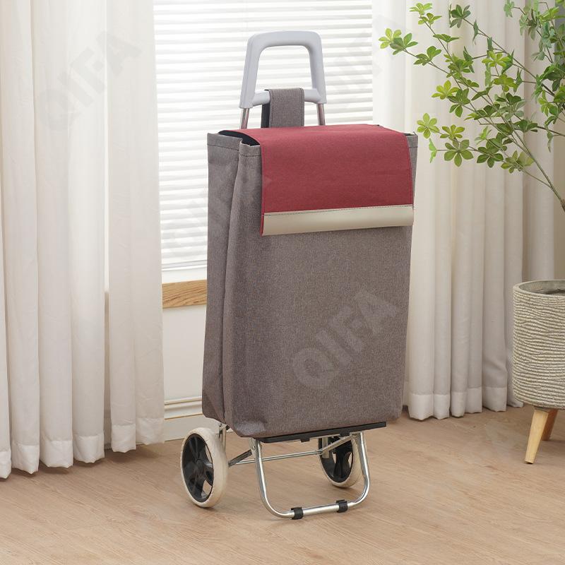 Женская Сумка-тележка CC5013_2025222-4