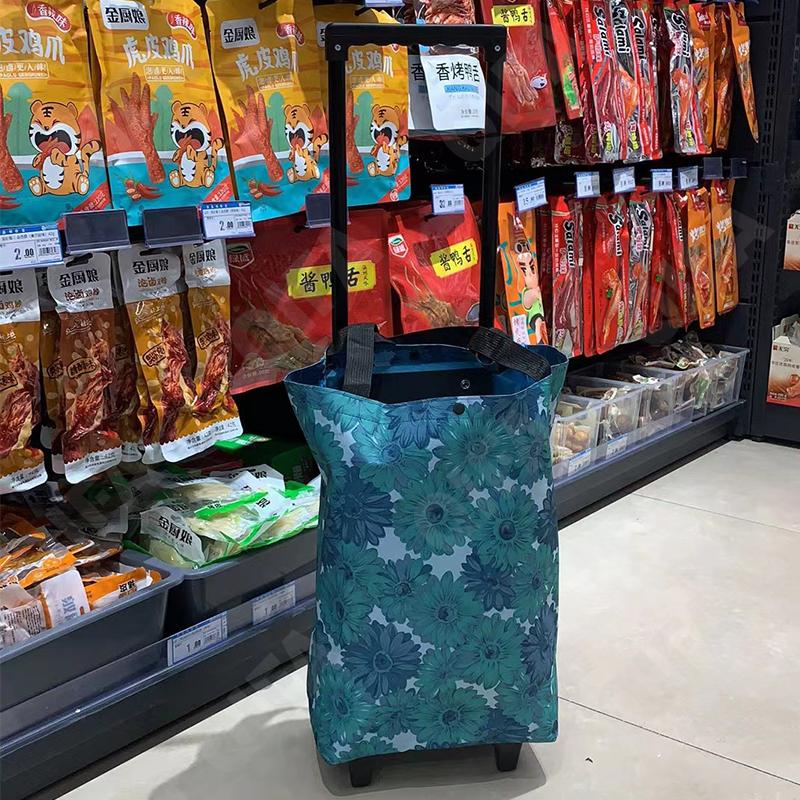 Женская Сумка-тележка CC3759_X1-1