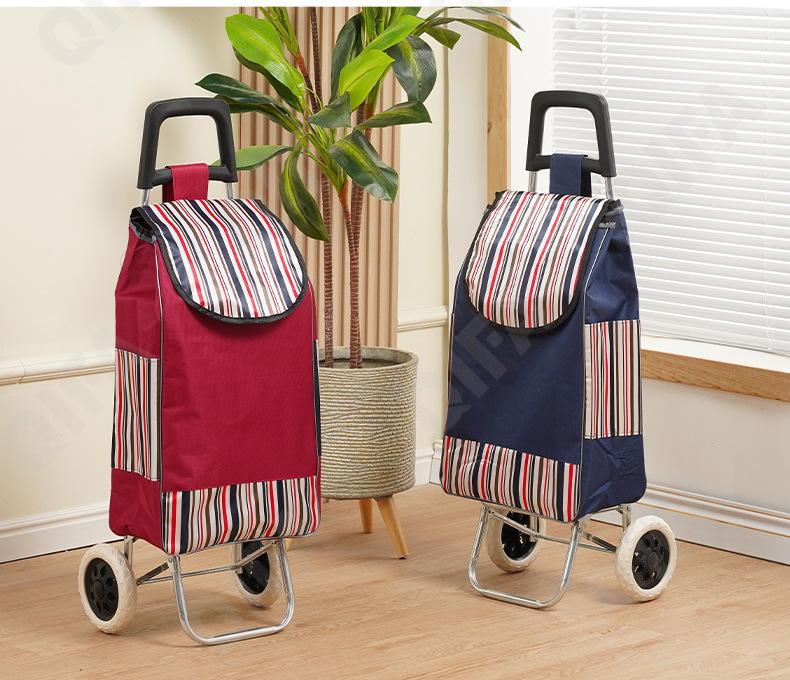 Женская Сумка-тележка CC5013_PTST-2