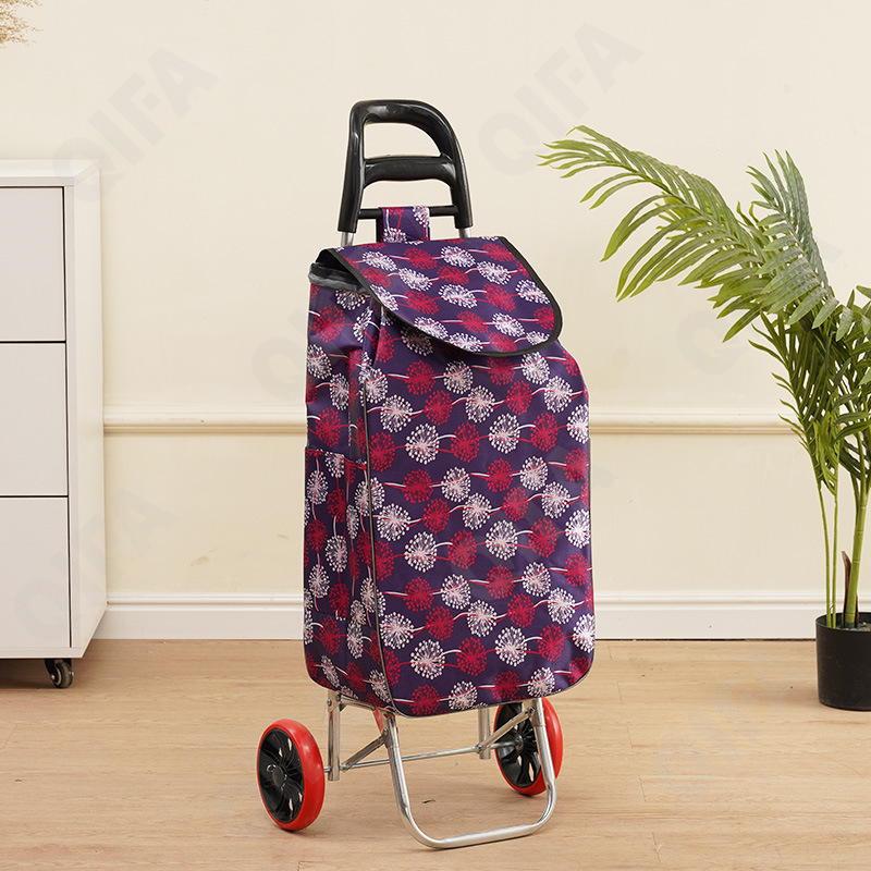 Женская Сумка-тележка CC5013_0075-2-10