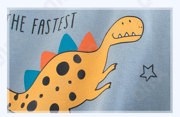 Детский Лонгслив CC1208_3625_247_2574