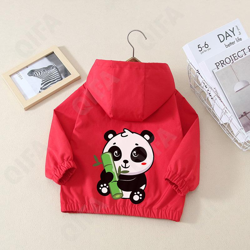 Детская Ветровка CC4214_5114_247_1812_82 Детская Ветровка CC4214_5114_247_1812_82