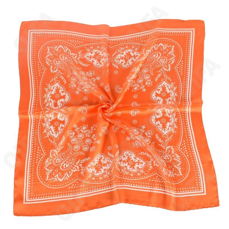 Женский Платок CC4230_DM7008-1