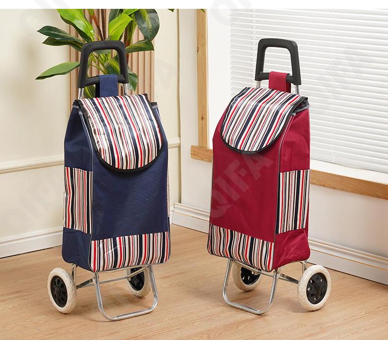 Женская Сумка-тележка CC5013_PTST-2