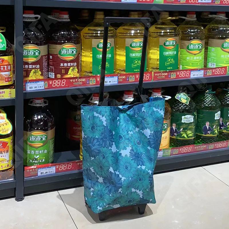 Женская Сумка-тележка CC3759_X1-1