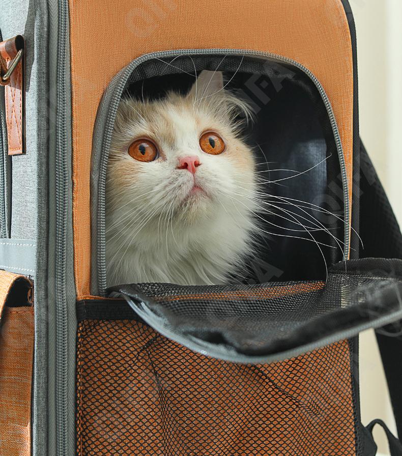 Женская Переноска для животных CC3293_P88-1