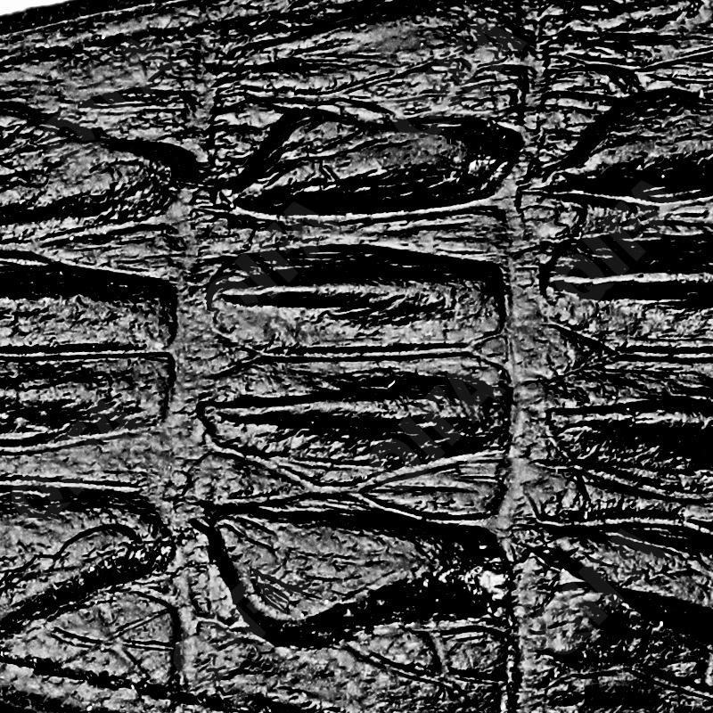 Мужская Ключница CC4037_9068-1