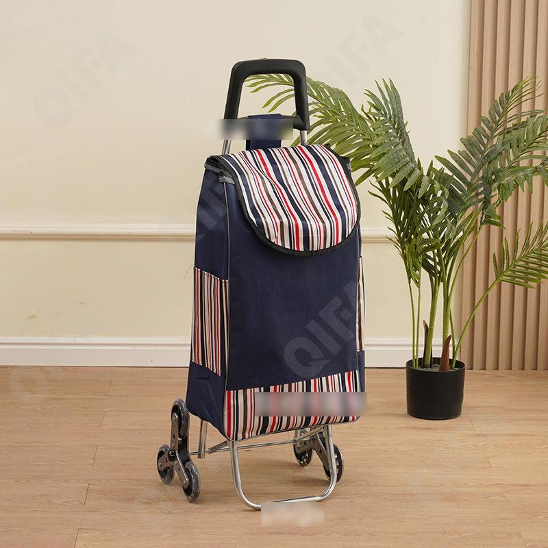 Женская Сумка-тележка CC5013_PTST-2-1