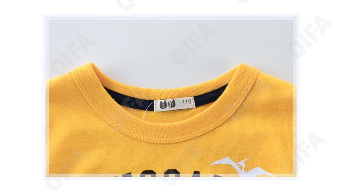 Детский Лонгслив CC1208_DT3665_226_1812