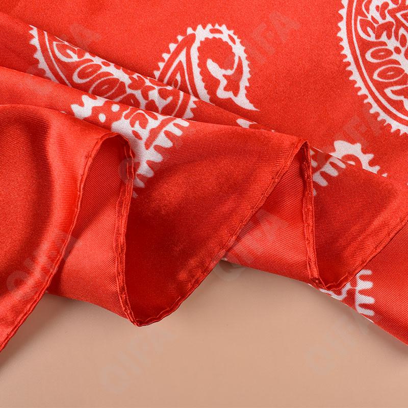 Женский Платок CC4230_D577-1 Женский Платок CC4230_D577-1