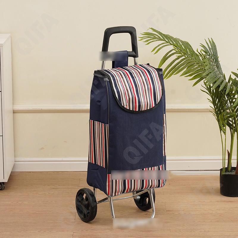 Женская Сумка-тележка CC5013_PTST-1-1