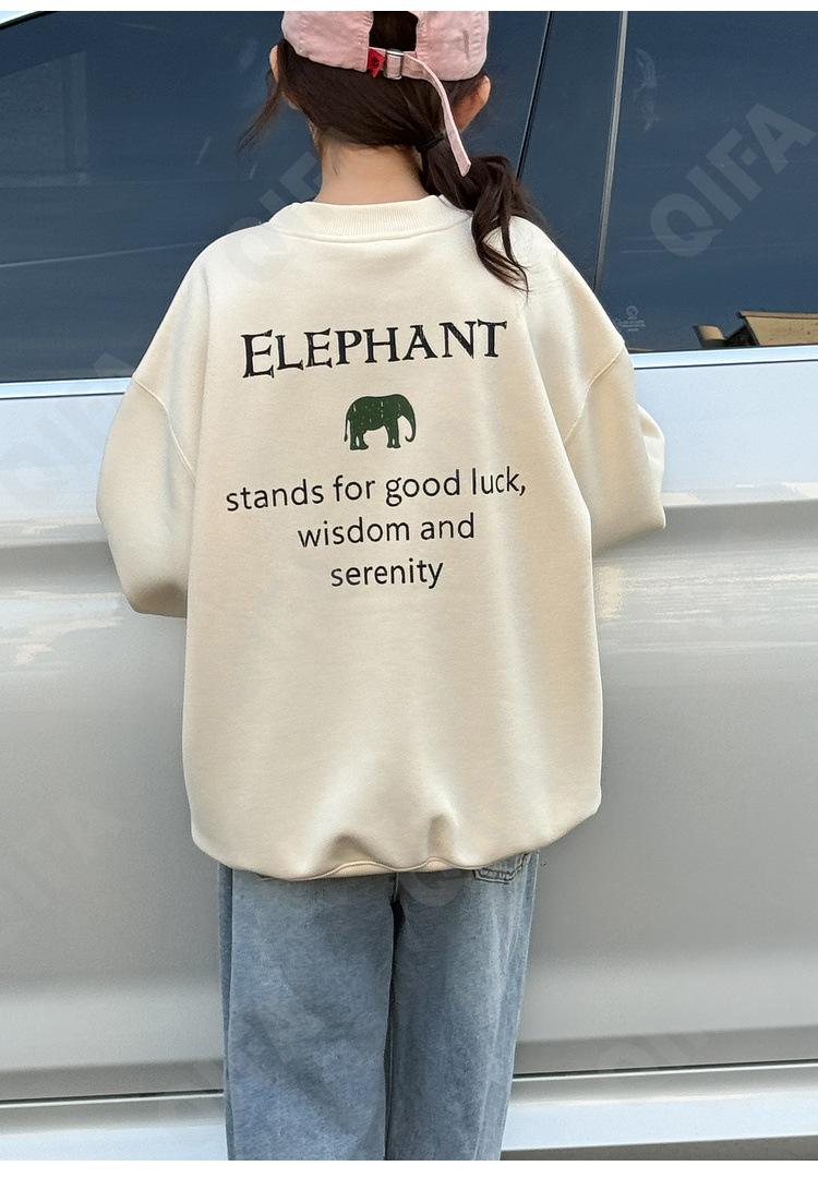 Детский Свитшот CC1333_24MQ02_225_2579_94