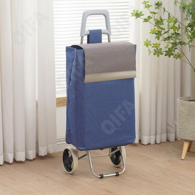 Женская Сумка-тележка CC5013_2025222-4