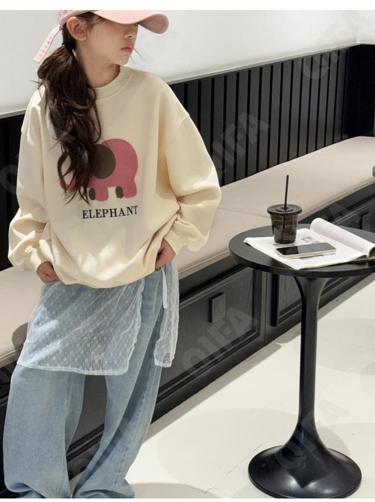 Детский Свитшот CC1333_24MQ02_225_2579_94