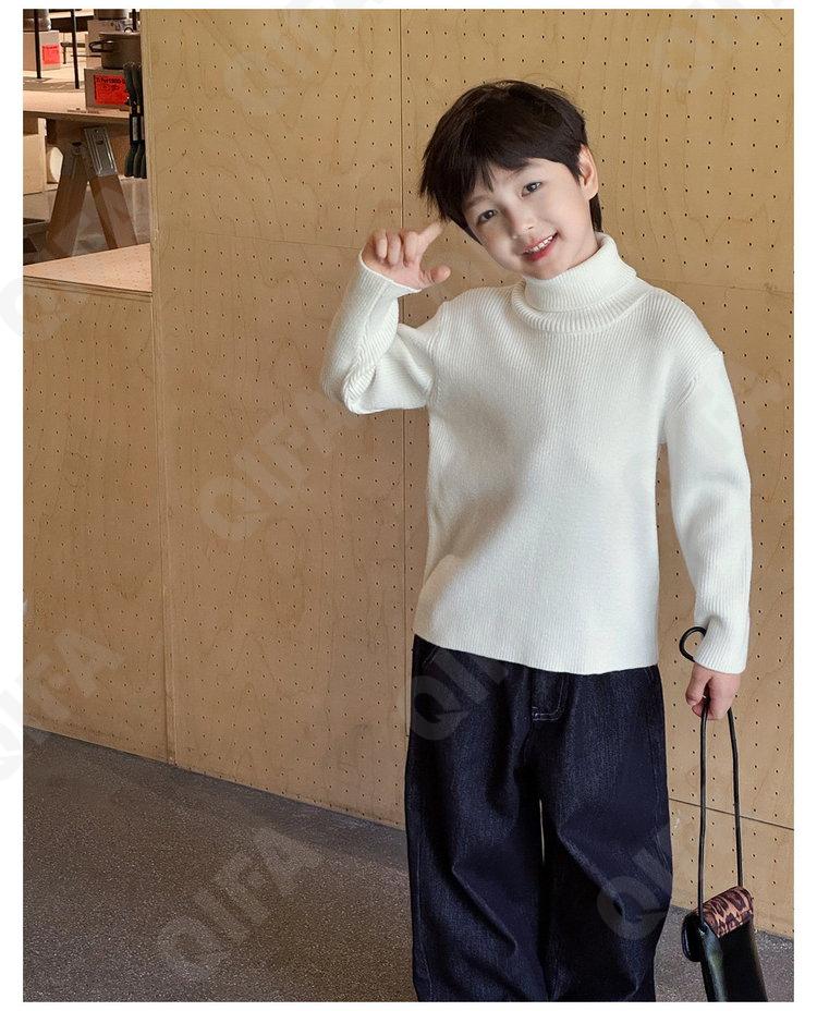 Детский Свитер CC4460_AMY5029-2_246_2577_81 Детский Свитер CC4460_AMY5029-2_246_2577_81