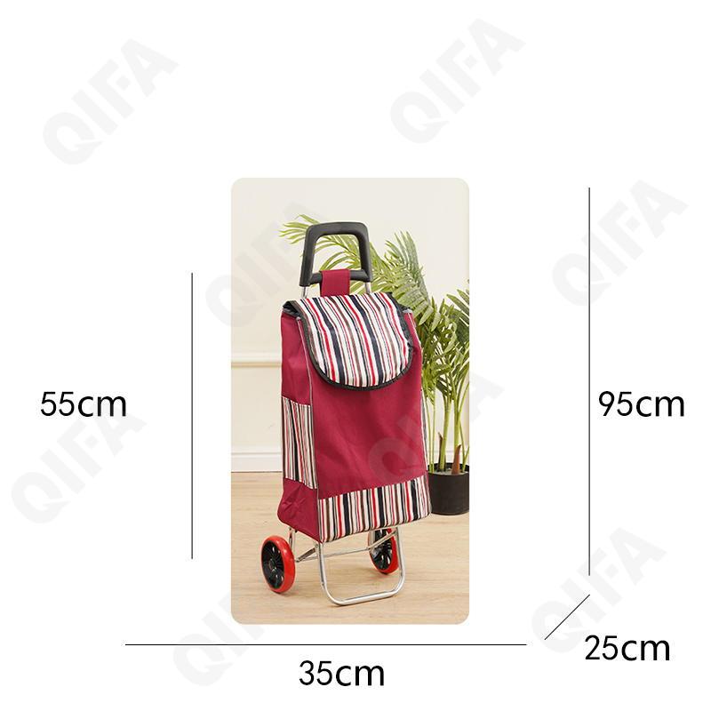 Женская Сумка-тележка CC5013_PTST-1-4