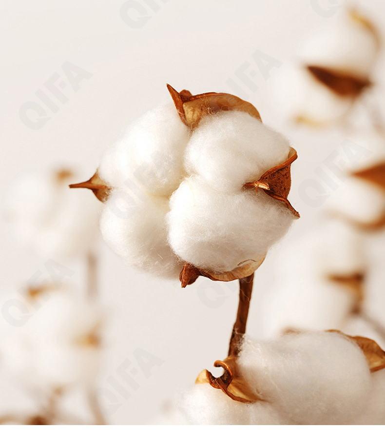 Детский Комбинезон CC5435_DS-0317_957_2447_29