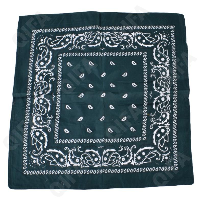 Женский Платок CC4230_XF5302-1