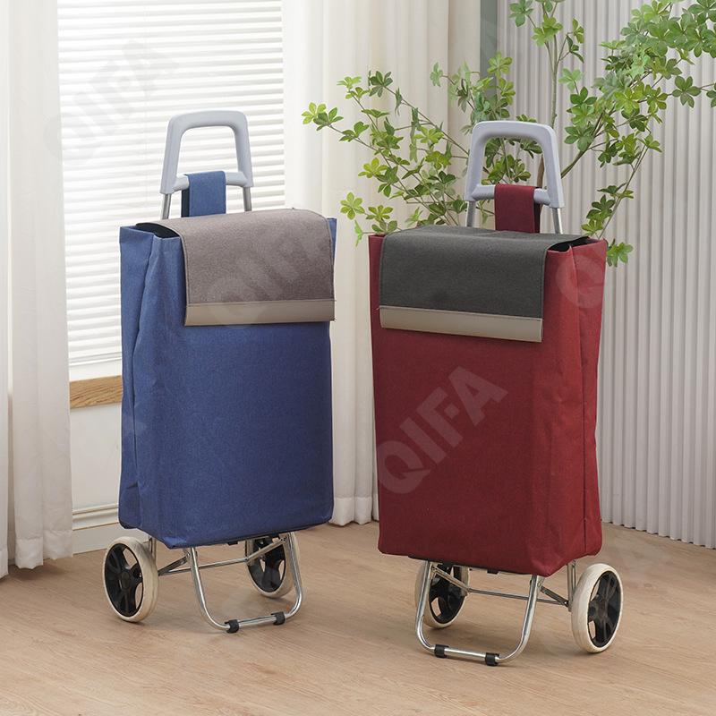 Женская Сумка-тележка CC5013_2025222-4