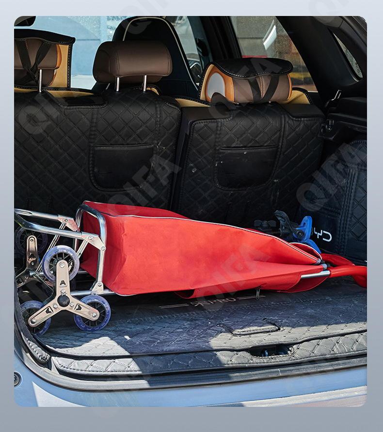 Женская Сумка-тележка CC5013_003-1