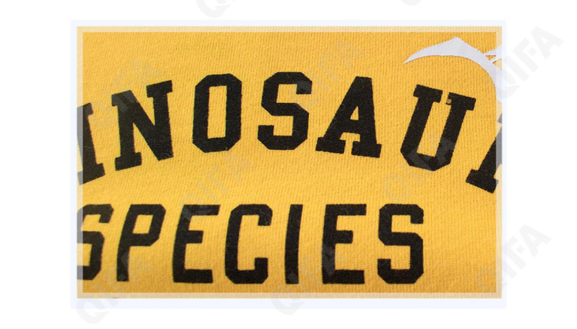 Детский Лонгслив CC1208_DT3665_226_1812