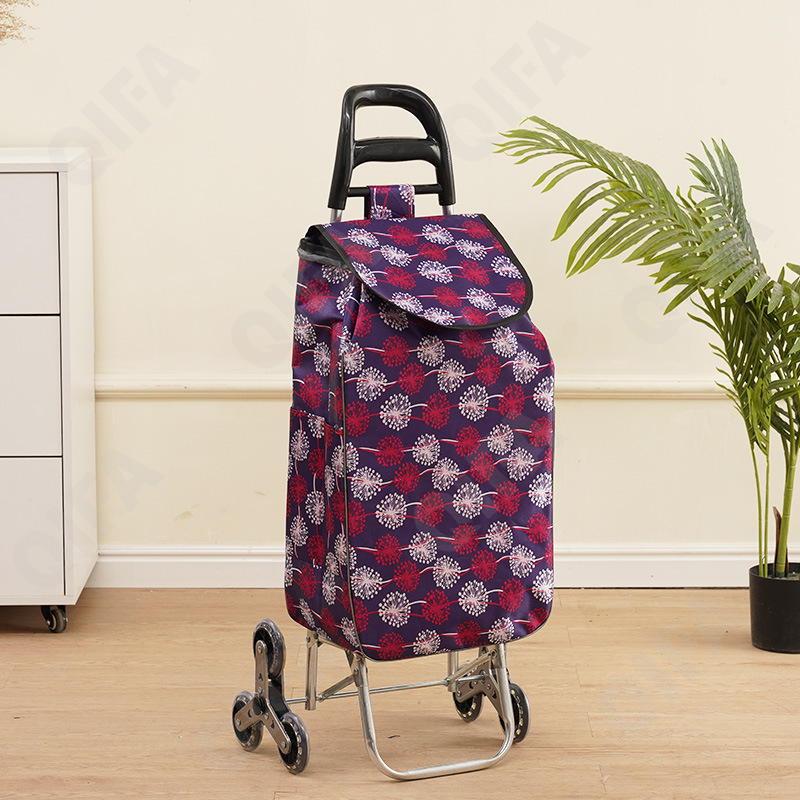 Женская Сумка-тележка CC5013_0075-10