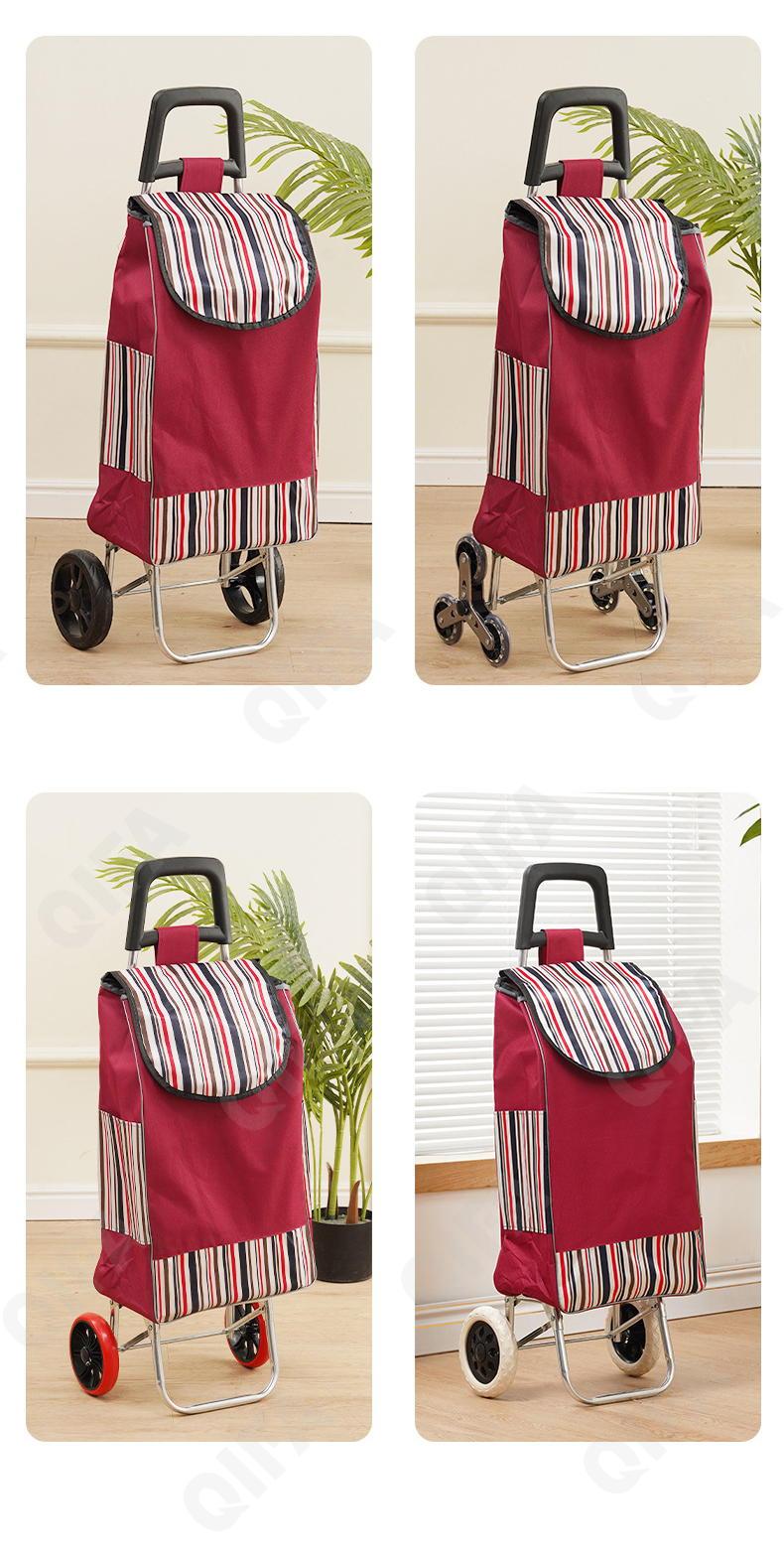 Женская Сумка-тележка CC5013_PTST-2