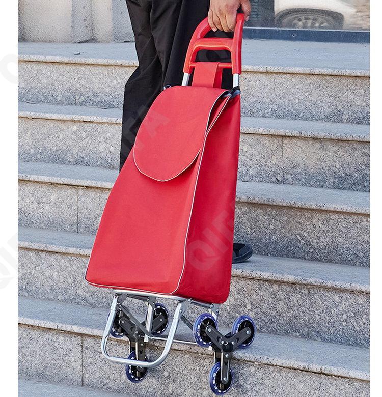 Женская Сумка-тележка CC5013_004-1