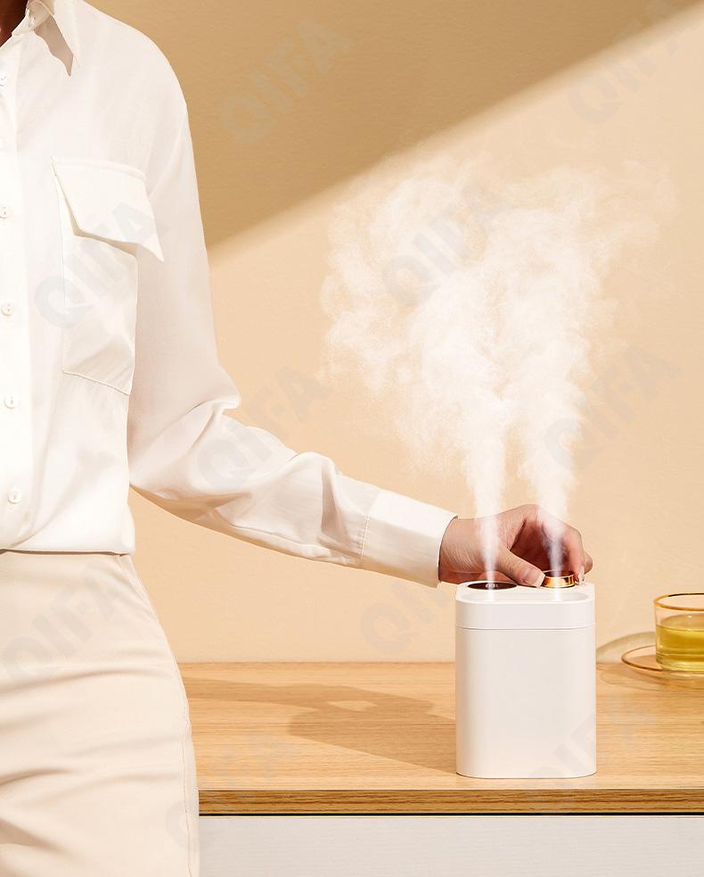 Увлажнитель воздуха CC2066_BF13-2