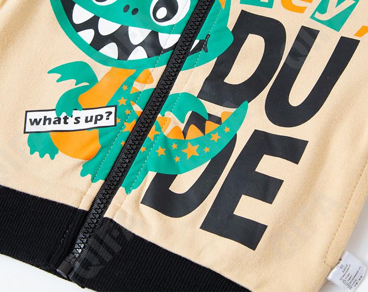 Детская Толстовка CC1330_WT5038_247_1817