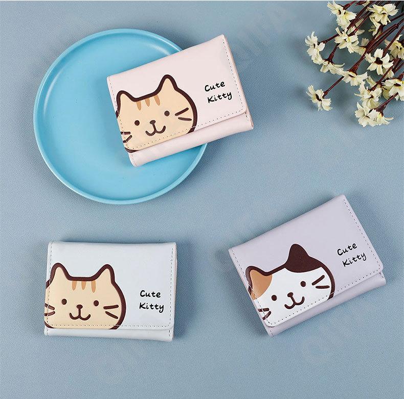 Женский Кошелек CC2568_C572-005-5