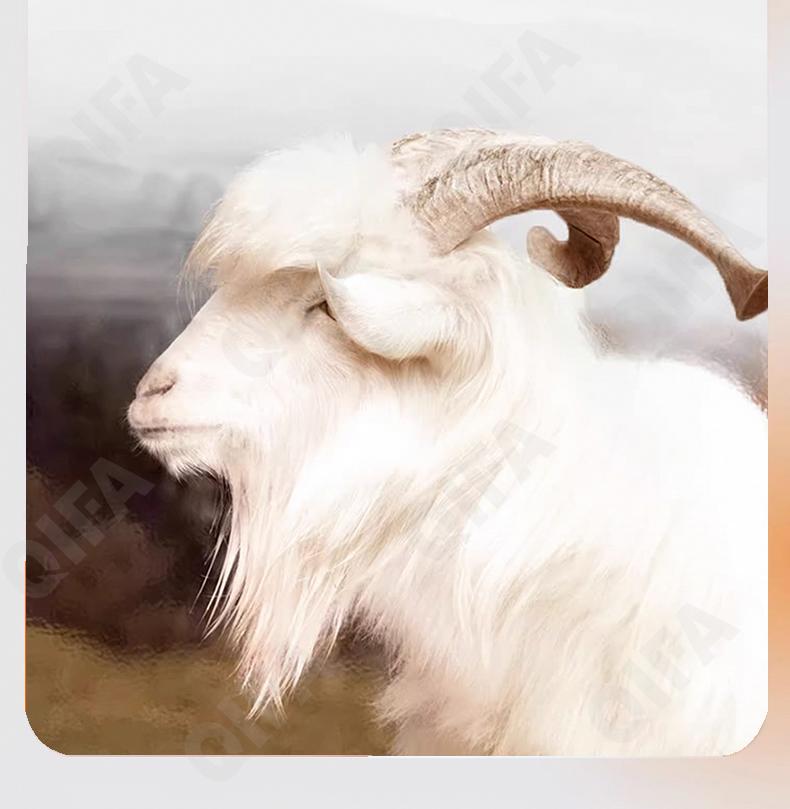 Мужские Комплекты термобелья CC2928_M09T1_234_1778_37