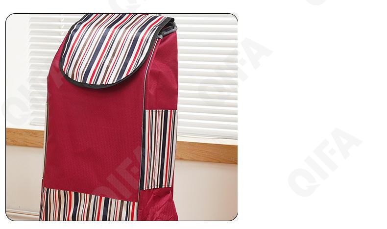 Женская Сумка-тележка CC5013_PTST-1-4