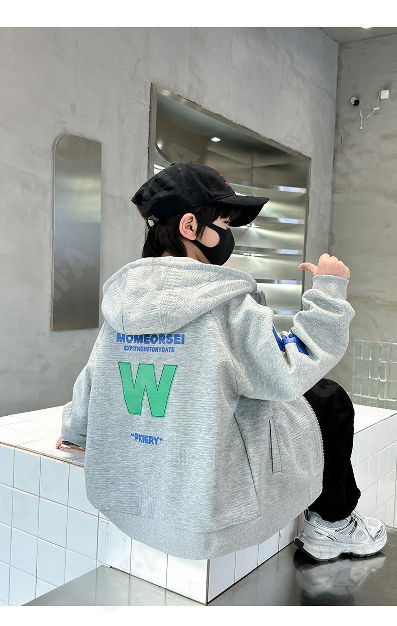 Детская Толстовка CC518_P2989_246_2579_43