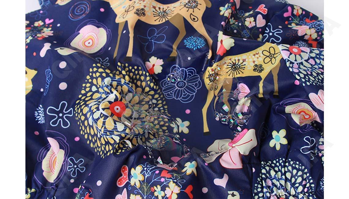 Детская Ветровка CC518_GJ021_243_2574