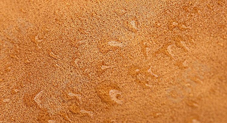 Женский Рюкзак CC2423_0433-1