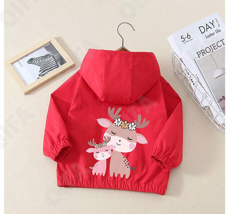 Детская Ветровка CC4214_5091_248_2576_17