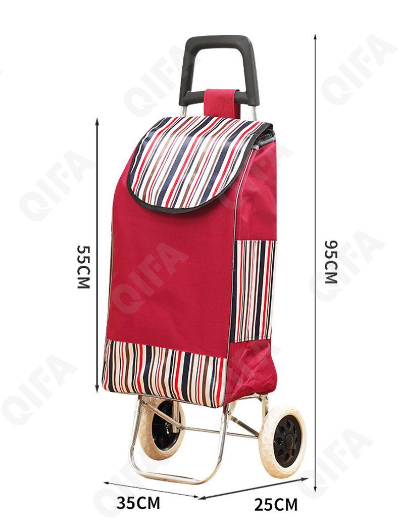 Женская Сумка-тележка CC5013_PTST-2