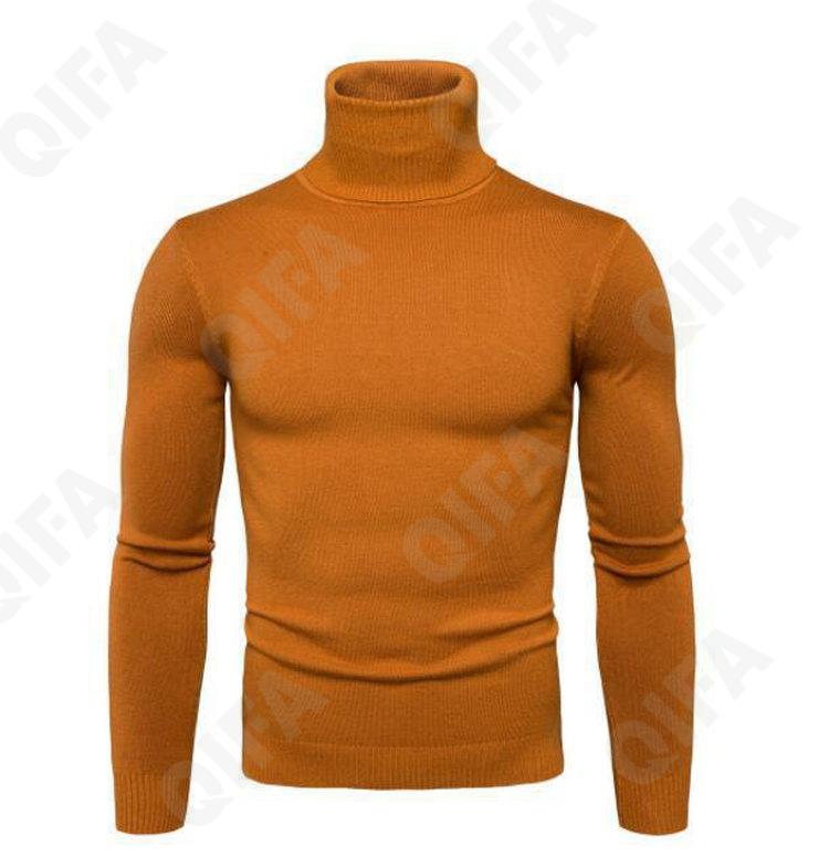 Мужская Водолазка CC4849_557_252_1779_57 Мужская Водолазка CC4849_557_252_1779_57