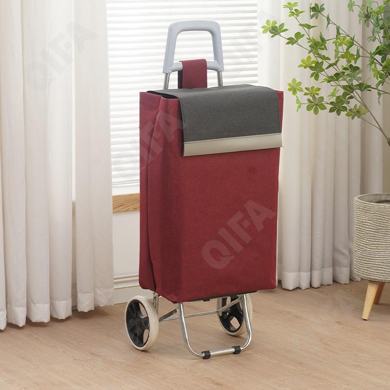 Женская Сумка-тележка CC5013_2025222-4