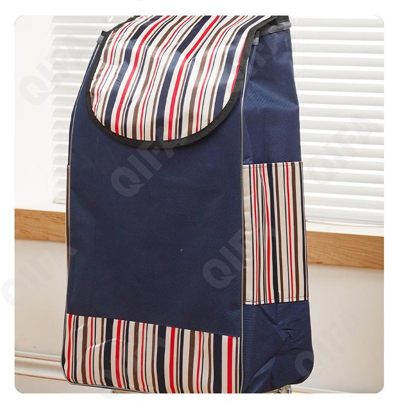 Женская Сумка-тележка CC5013_PTST-2-2