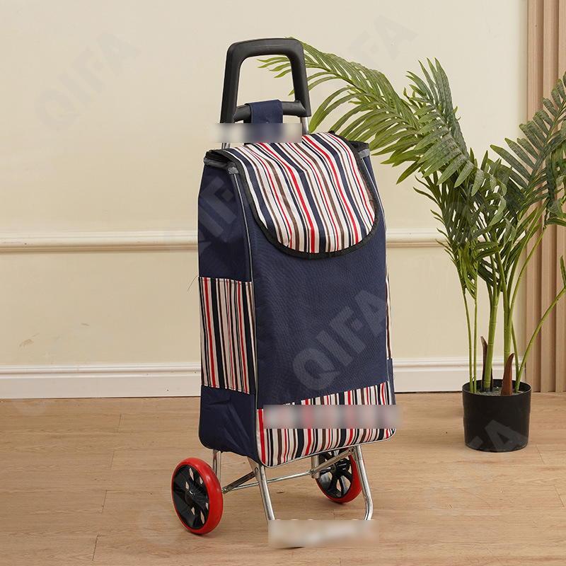 Женская Сумка-тележка CC5013_PTST-1-1