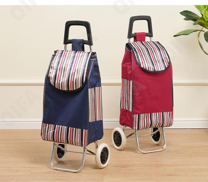 Женская Сумка-тележка CC5013_PTST-2