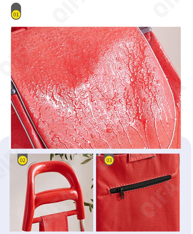 Женская Сумка-тележка CC5013_PS-001-1-8