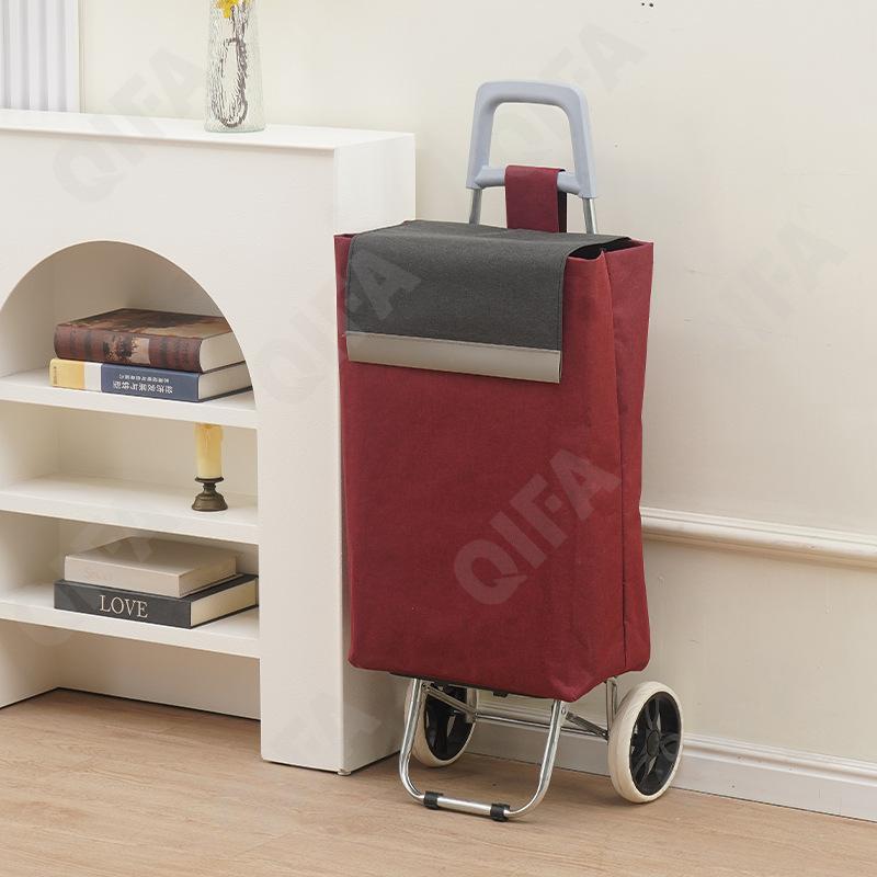 Женская Сумка-тележка CC5013_2025222-4