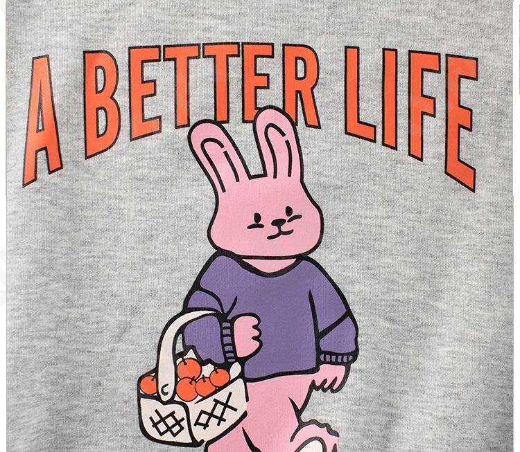 Детский Свитшот CC2484_H2041_246_2574