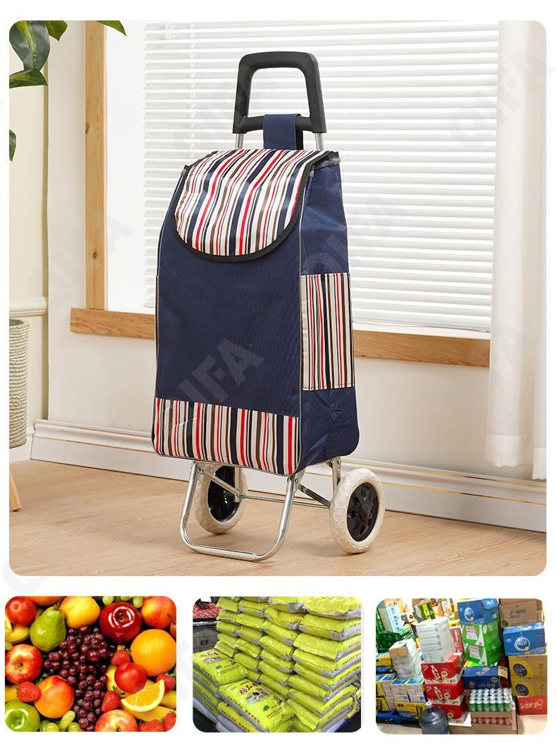 Женская Сумка-тележка CC5013_PTST-2